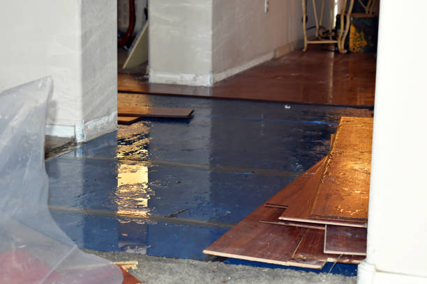 Professional Emergency Water Damage Restoration technician working in Westville, IL