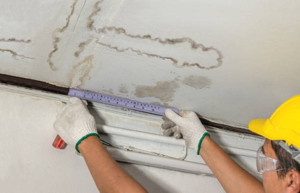 Reliable Emergency Water Damage Restoration contractor in Westville, IL by Water Damage Irwin